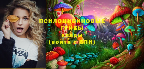 ешки Арсеньев
