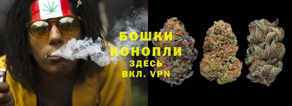 прущие грибы Армянск