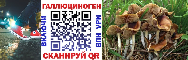 Галлюциногенные грибы ЛСД  Маркс 
